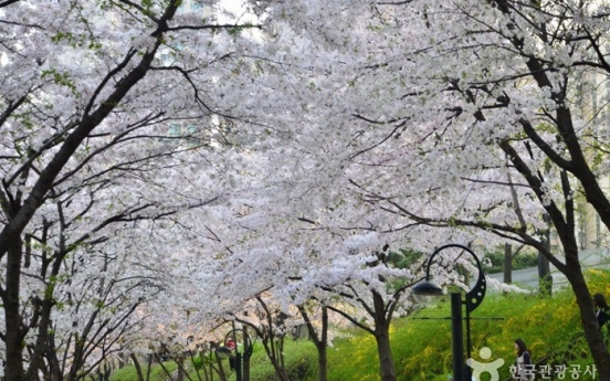 [Travel Bits] Festivals and sights across Korea