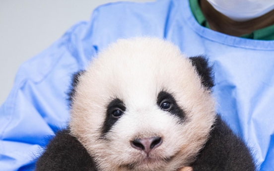 Korea’s first panda cub named Fu Bao