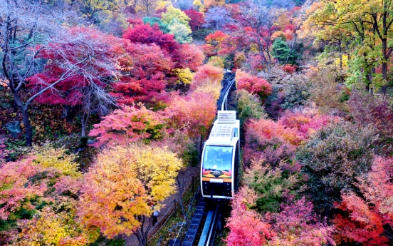 [Eye Plus] Autumn foliage at peak