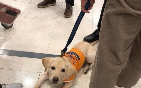 Lotte Mart apologizes for turning away guide dog in training