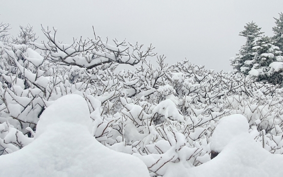 Unseasonal snowfall covers mountains in Gangwon Province