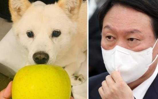 Yoon accused of 'mocking' nation with pic of dog with apple