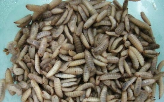 [Feature] From bugs to delicacies, insect proteins find niche in pet food market