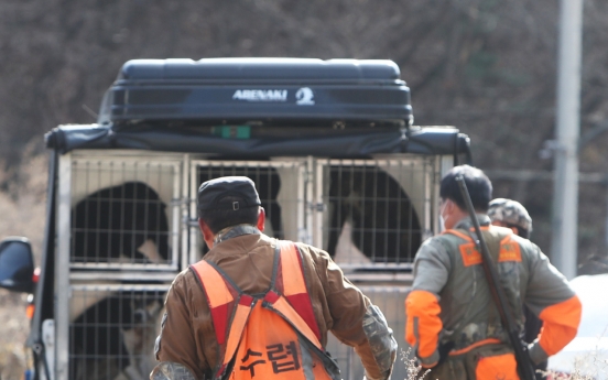 Runaway bear remains at large south of Seoul for 3rd day