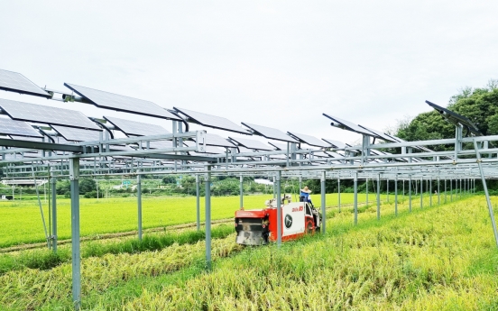 [From the Scene] Growing crops under solar panels: Korea tests agrivoltaic farm