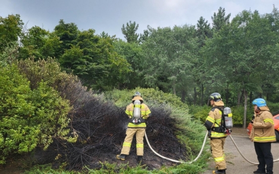 Park employees burn down 50 trees in beehive removal attempt