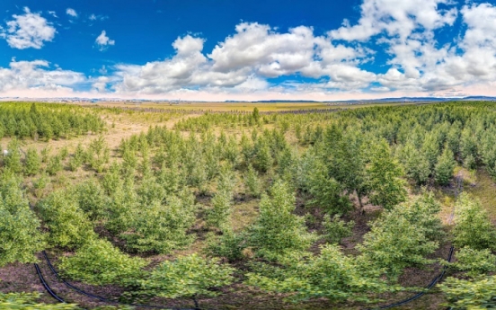 Korean Air grows forest in Mongolia