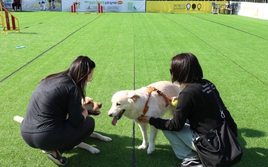 Take your dog to a festival this October