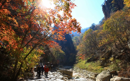 Travel agencies rush fall tourism products as fall foliage expected to arrive early