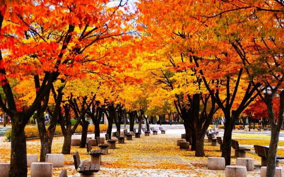 103 autumn foliage paths in Seoul