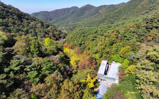 Hot weather has leaves turning later