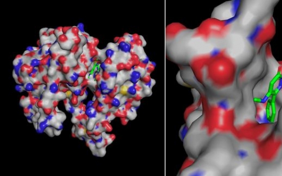 Daewoong develops drug candidate for oral obesity treatment