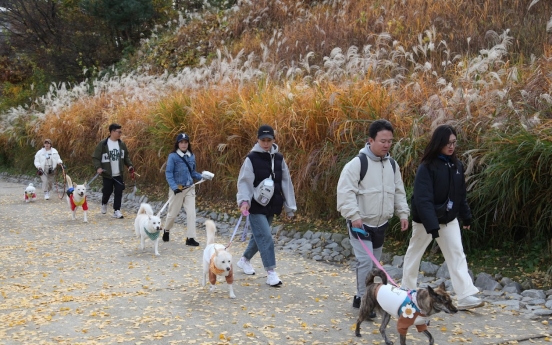 German shephards and French poodles... What about Korean Jindo?