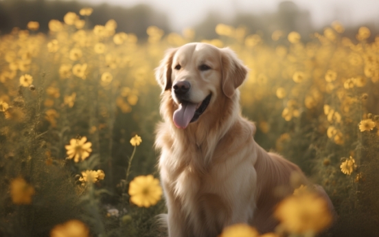 Dogs subject to perpetual abuse at 'dog kindergarten'