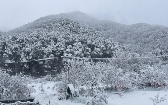 Major snowstorm shuts down schools in Seoul, Gyeonggi Province