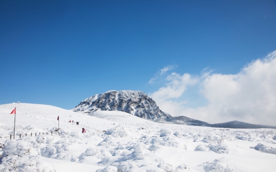 Jeju’s winter charms beckon travelers