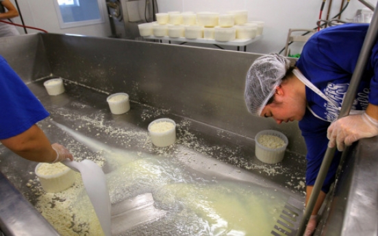 Dairy farmers switch focus to artisanal cheese