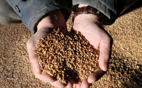 Russia may extend grain export ban