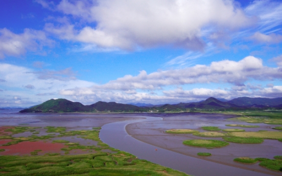 Suncheon Bay sings songs of nature
