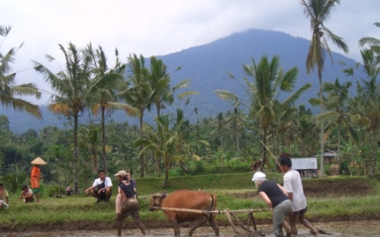 Eco Bali beyond the ‘greenwash’
