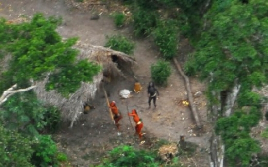 Brazil identifies uncontacted tribe