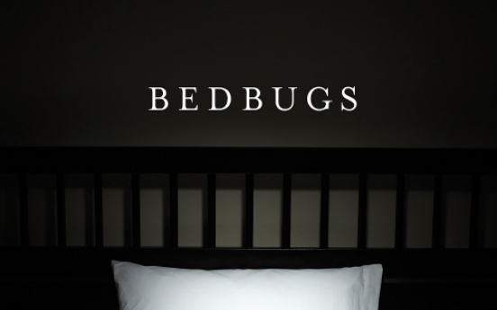 ‘Rosemary’s Baby’ with bedbugs