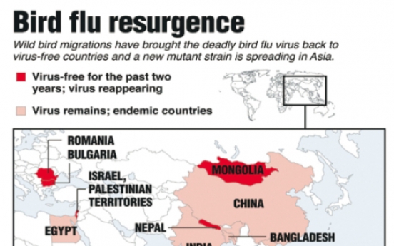 Bird flu back on the rise, U.N. warns