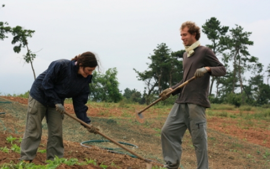 Sick of city life? Why not WWOOF?