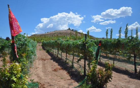 The next Napa? Arizona’s Verde Valley angles to become a mecca for wine aficionados