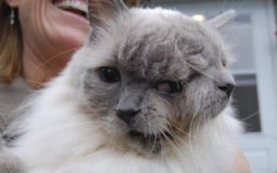 Meet the cat with two faces