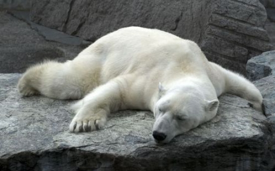 US report: Arctic much worse since 2006