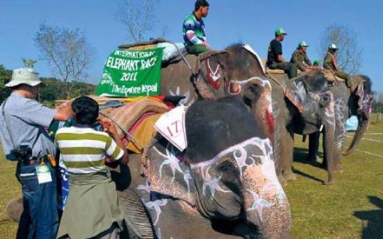 Elephants race, play soccer in Nepal festival