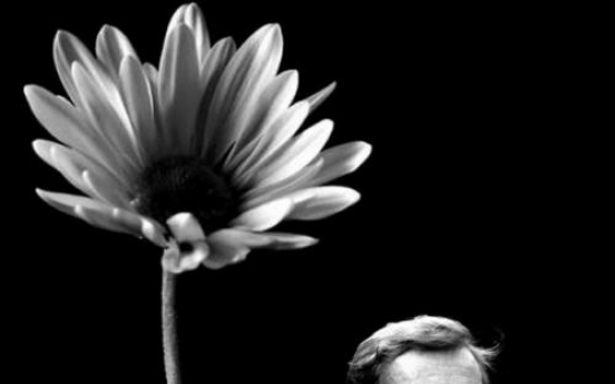 Vaclav Havel to be honored in Seoul