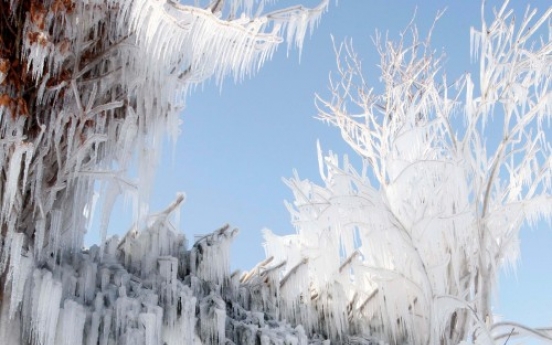 Inje Icefish Festival to kick off in Gangwon Province