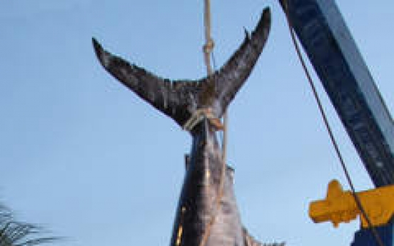 Florida crew lands 683-pound swordfish
