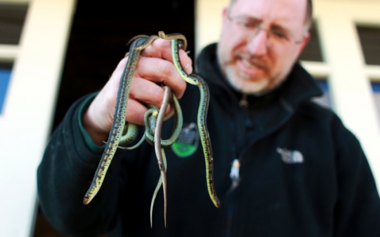 Snake-handling pastor dies from bite