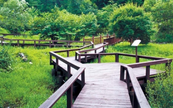 Taking a relaxing stroll through botanical gardens at Mount Yumyeongsan