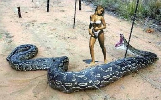 ‘충격’의 뱀 공격 미스터리 영상… 진실은?