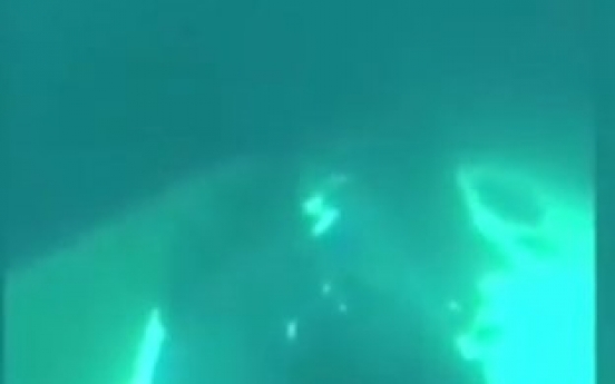 거대 고래 짝짓기 모습 포착 (영상)