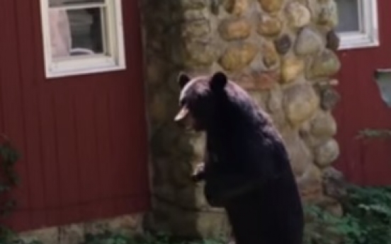 (영상) 두 발로 동네 활보하는 곰, ‘그대로 놔둬야’