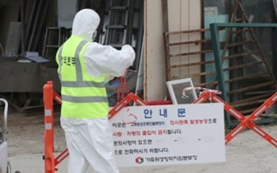Korea begins culling 120,000 poultry over bird flu