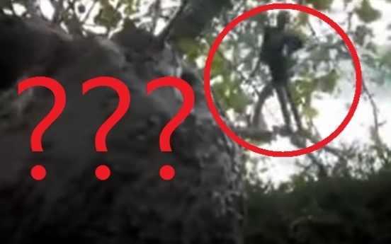(영상) 숲 속 날아다니는 ‘괴생물체’ 발견