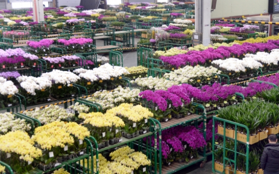 [Photo News] In full bloom for March