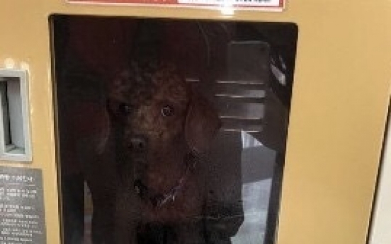 Abandoned dog in mart locker invites public fury