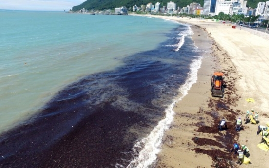 [Photo News] Korea begins big cleanup as Typhoon Prapiroon passes