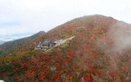 [Weather] Cool weekend forecast for Korea; first autumnal leaves seen at Seoraksan