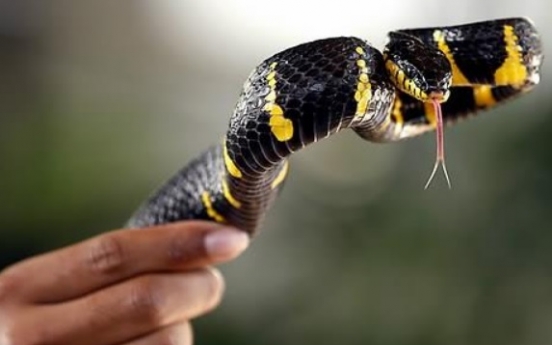 Firefighters warn over venomous snakes after park sighting