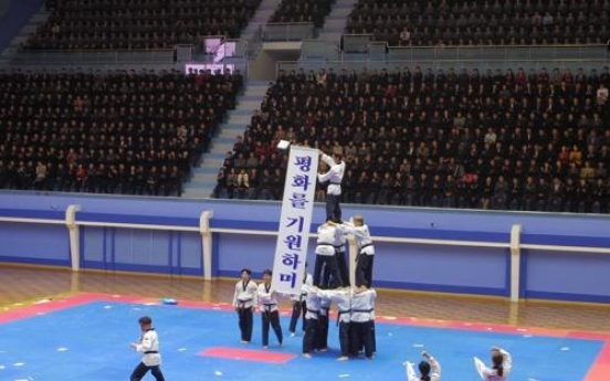 All-S. Korean taekwondo demonstration team performs in Pyongyang