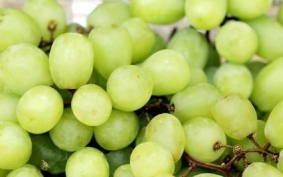 Grape variety with mango taste grows popular in Korea