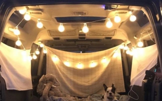 Camping anywhere - in your car